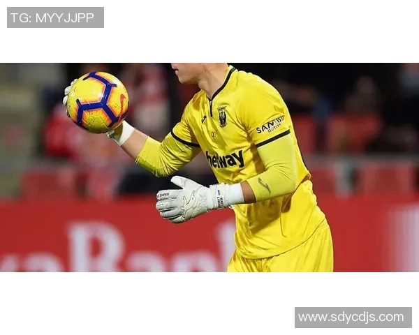 迈尼昂：从新星崛起到世界级门将的传奇之路