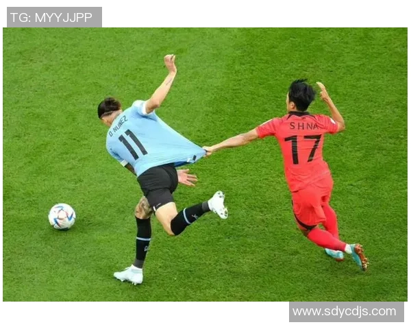 韩国与卡塔尔比赛胜率分析及影响因素探讨