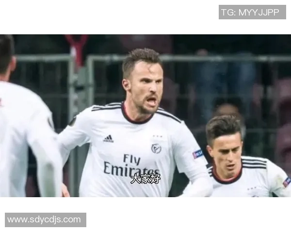 本菲卡与马里迪莫激战成和比分揭晓精彩瞬间回顾