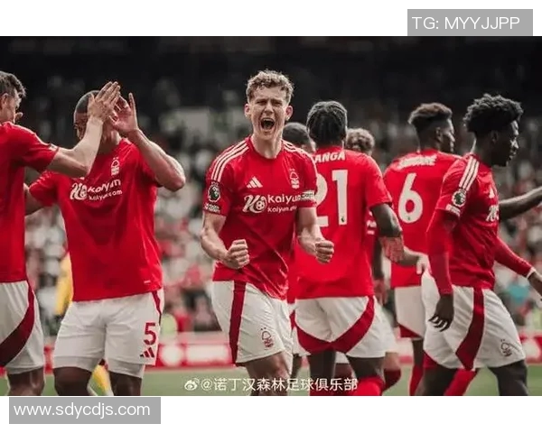 诺丁汉森林与诺维奇城激战在即谁能在这场较量中笑到最后 诺丁汉森林与诺维奇城激战在即谁能在这场较量中笑到最后