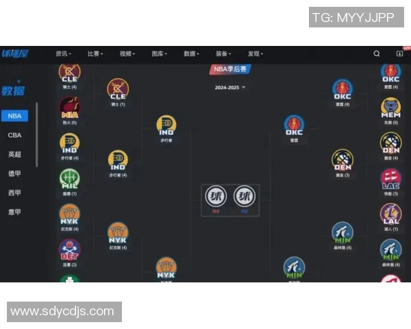 2014年NBA季后赛热火对阵黄蜂首场激战精彩回顾与分析 2014年NBA季后赛热火对阵黄蜂首场激战精彩回顾与分析