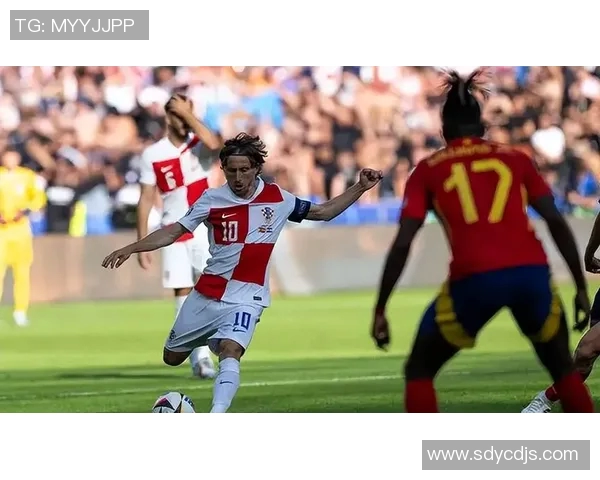 2002年克罗地亚与意大利足球对决回顾及赛后分析