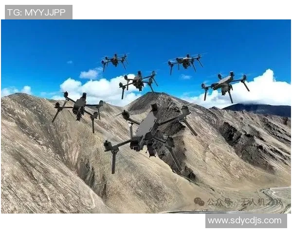 城市赛分析:V5战术布局与执行的深度剖析与反思 城市赛分析:V5战术布局与执行的深度剖析与反思