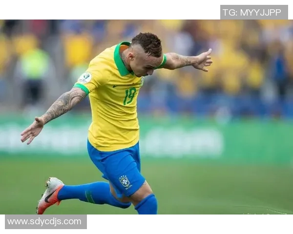 尼日尼亚与几内亚精彩对决直播全程回顾与分析