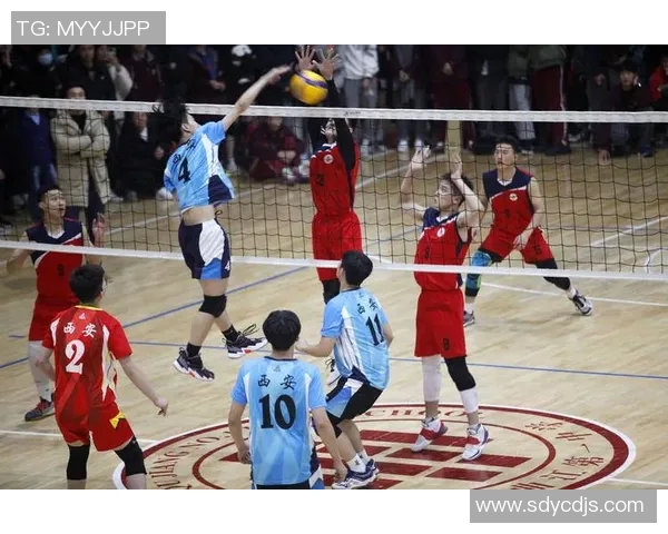 西安排球队创新高排球战术排名引发全球关注与热议