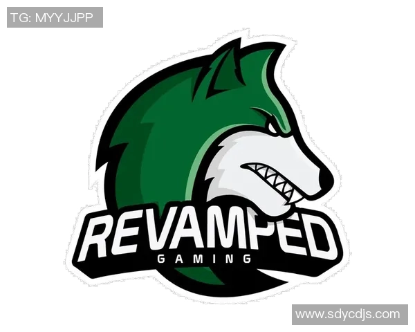 最新CSGO速度排行榜出炉JDG战队强势领跑前十名